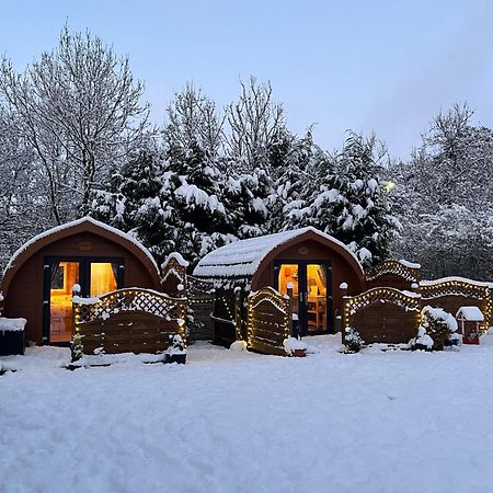 Conifer Cabins Fort William Dış mekan fotoğraf