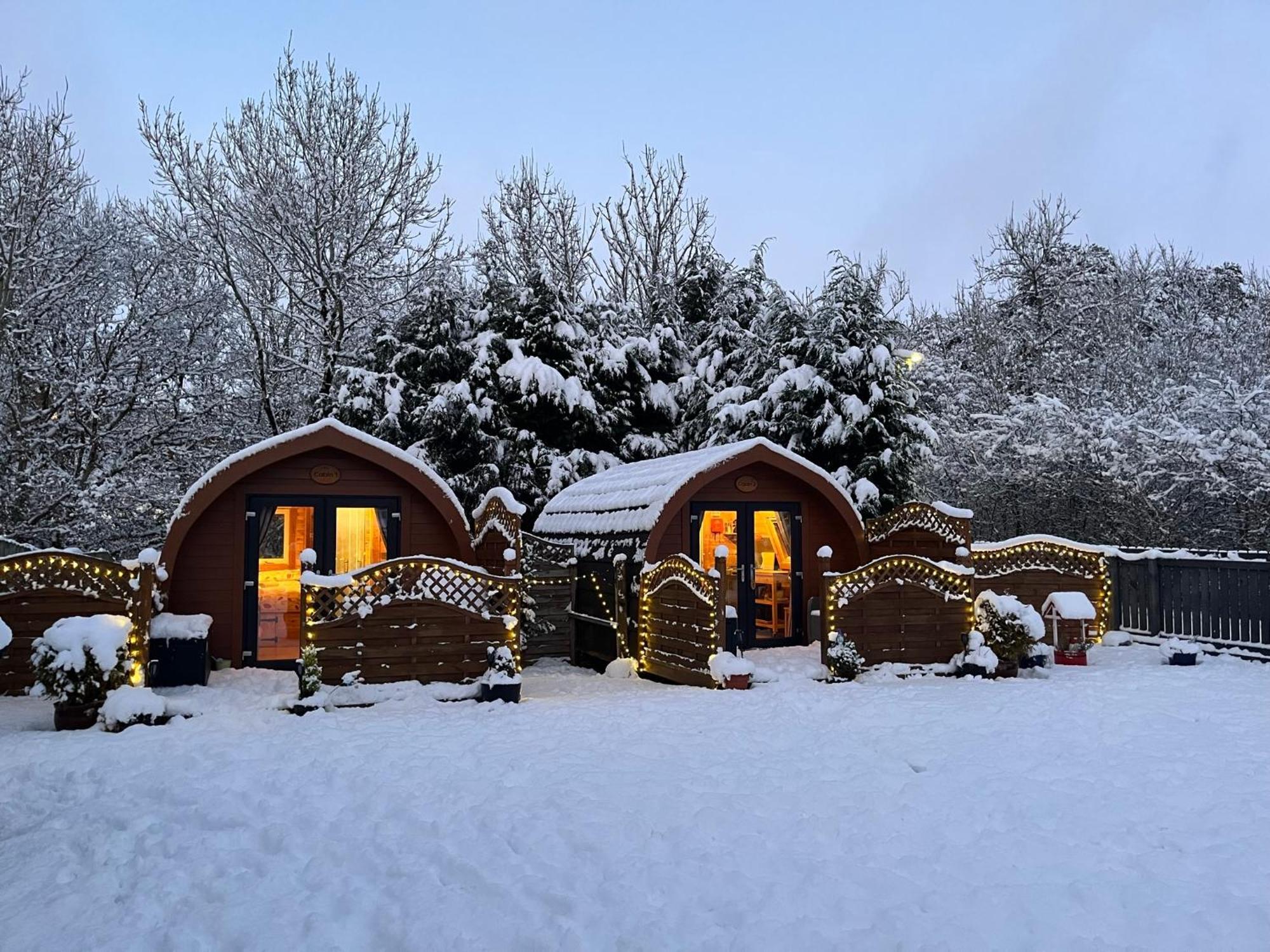 Conifer Cabins Fort William Dış mekan fotoğraf