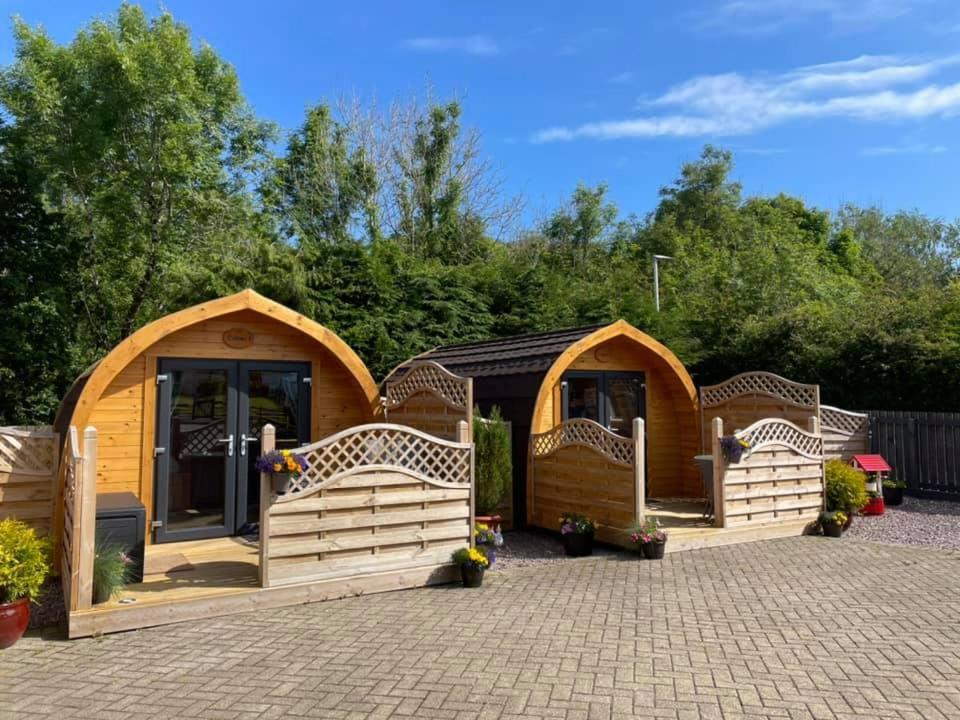 Conifer Cabins Fort William Dış mekan fotoğraf